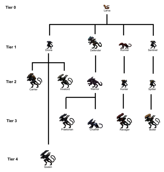 File:DMCA Evolution Diagram.png