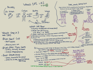 Wounds 101.png